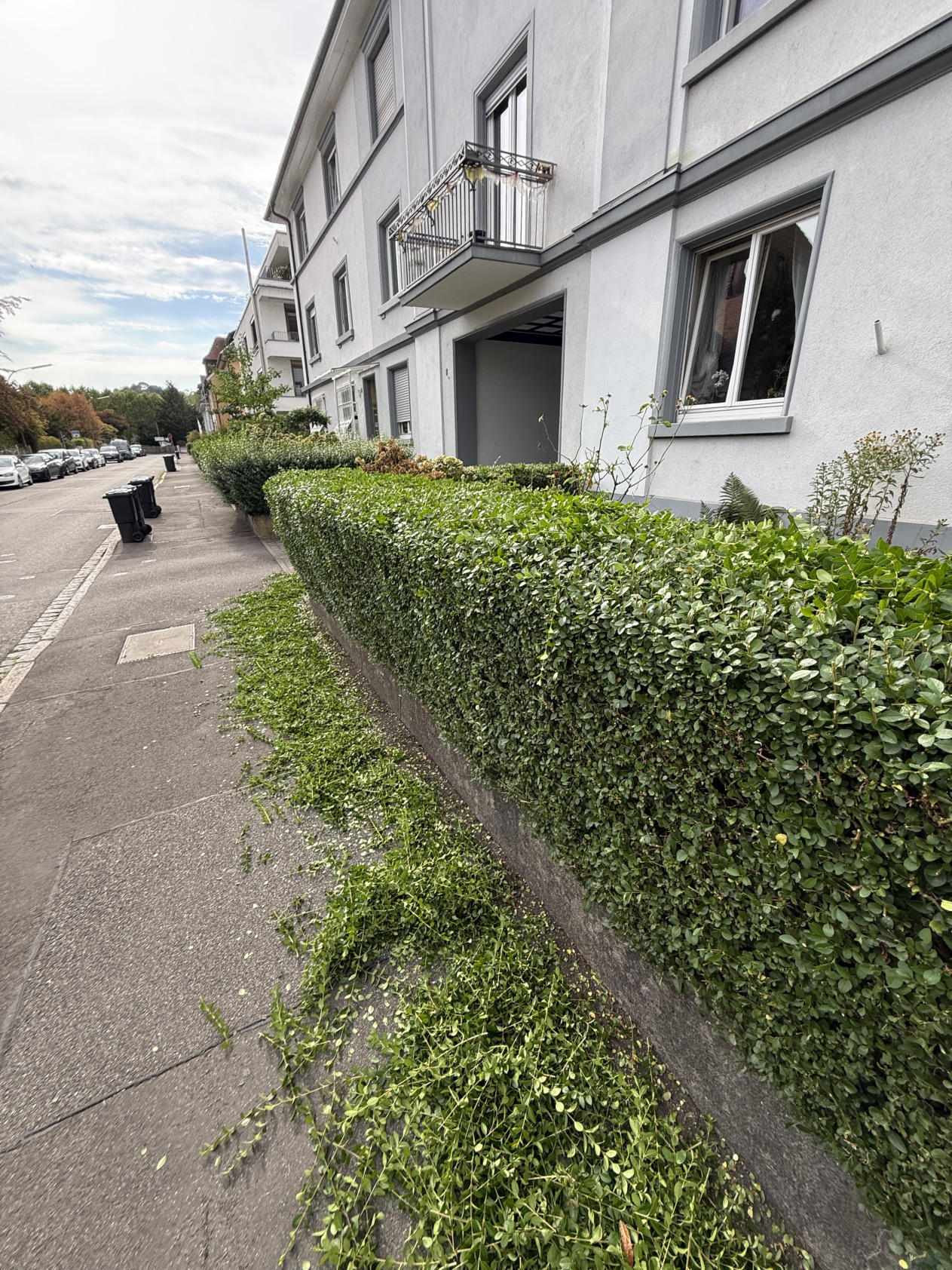 Heckenschnitt an einer Wohnanlage
