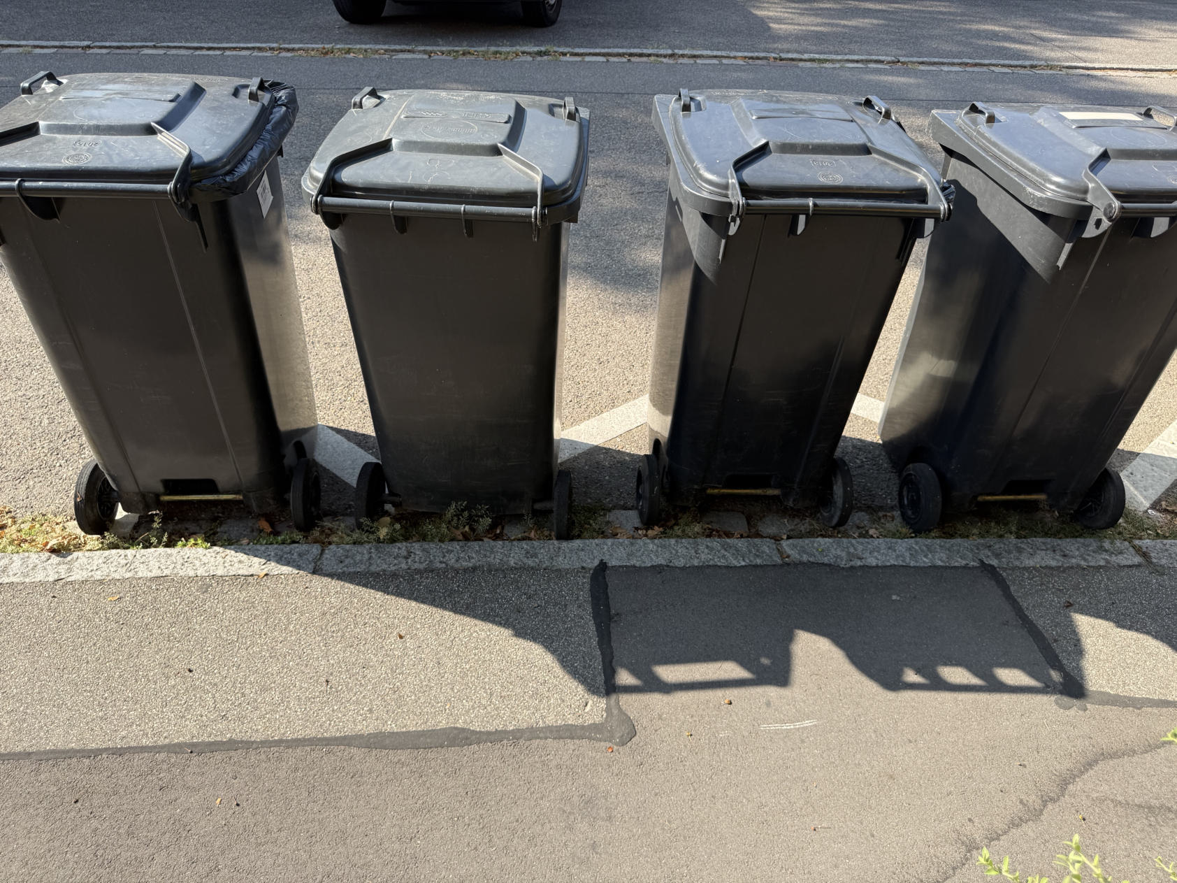 Bereitgestellte Mülltonnen am Straßenrand